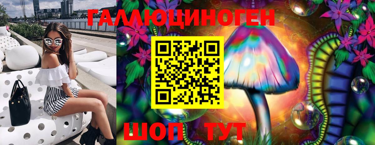 Балтийск  Псилоцибиновые грибы GOLDEN TEACHER  Вход с VPN  Галлюциногенные грибы Magic Shrooms 